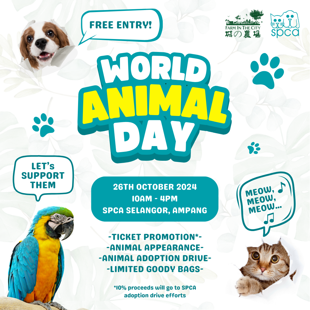 SPCA World Animal Day [26th Oct 2024]