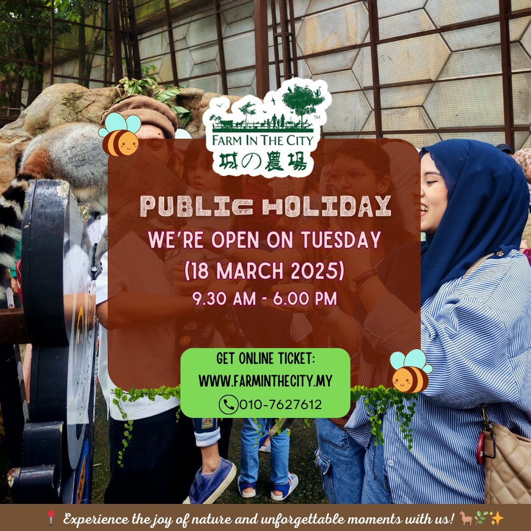 We’re open this Tuesday! [Nuzul Al-Quran 18 March 2025]