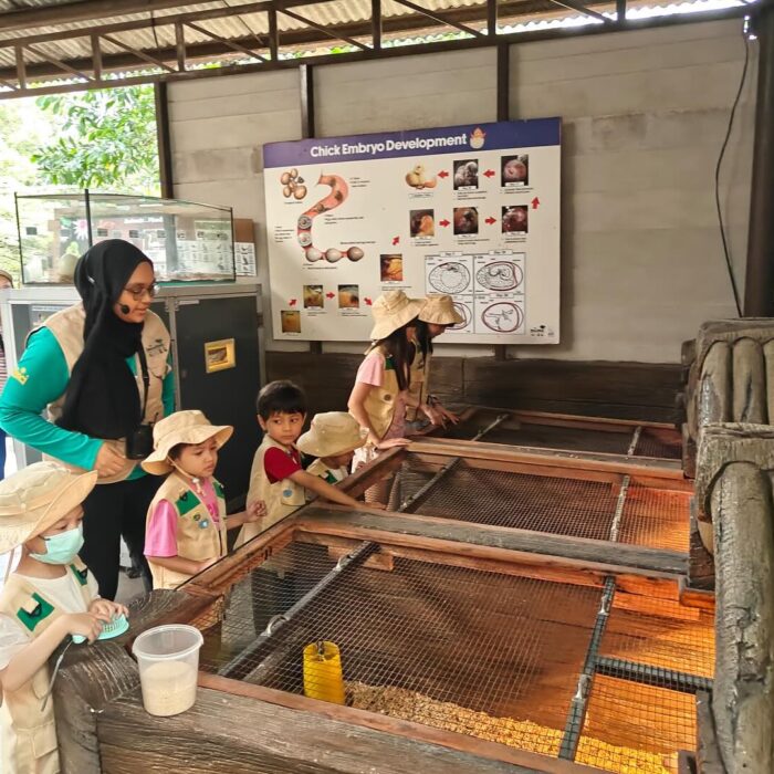 474090034_18480877960050470_5527107577947454594_n