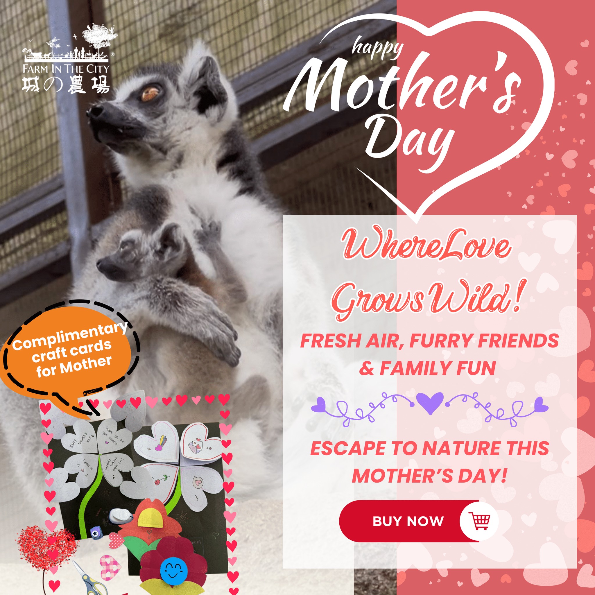 Complimentary Craft Cards for Mothers