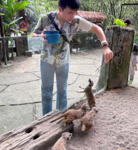 IG Feeding Schedule (1)