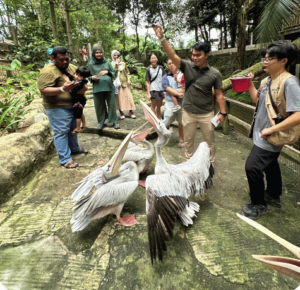 IG Feeding Schedule (6)