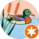 Mesost profile picture